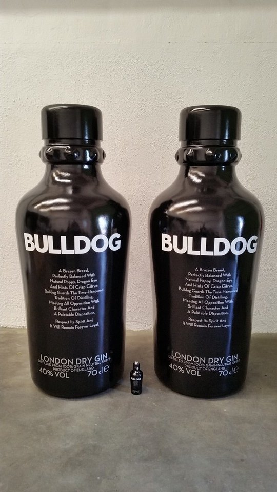 10537020_10203274804243391_55591113565699335_n