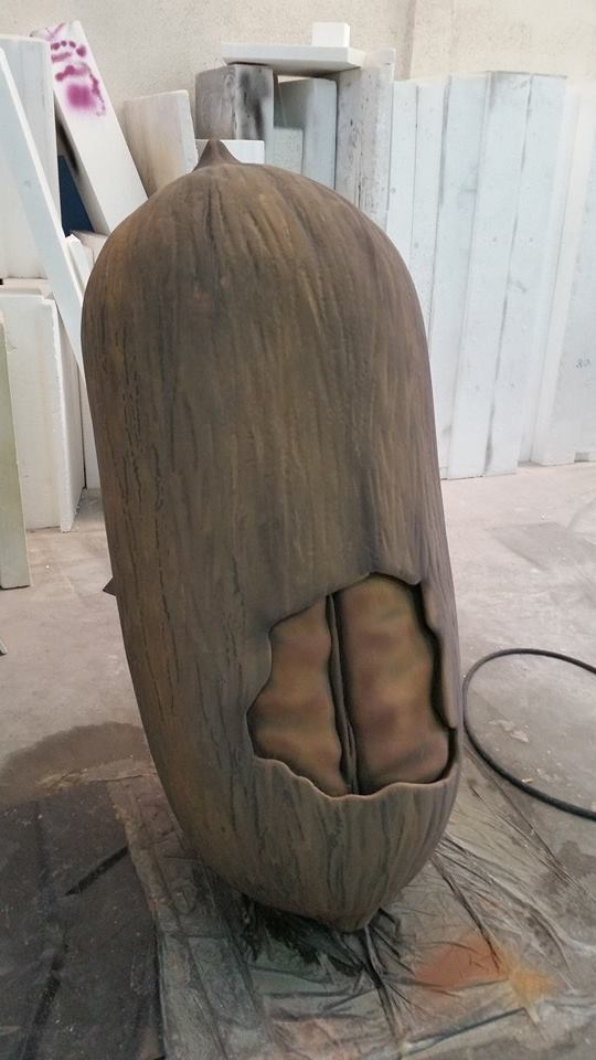 10590545_10203947872989689_6346895495043043499_n