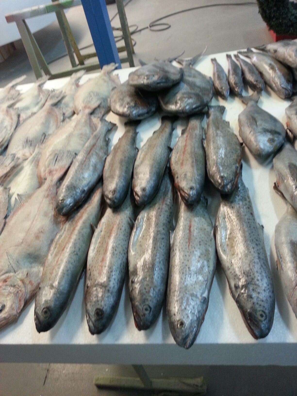 20130506_124617_resized