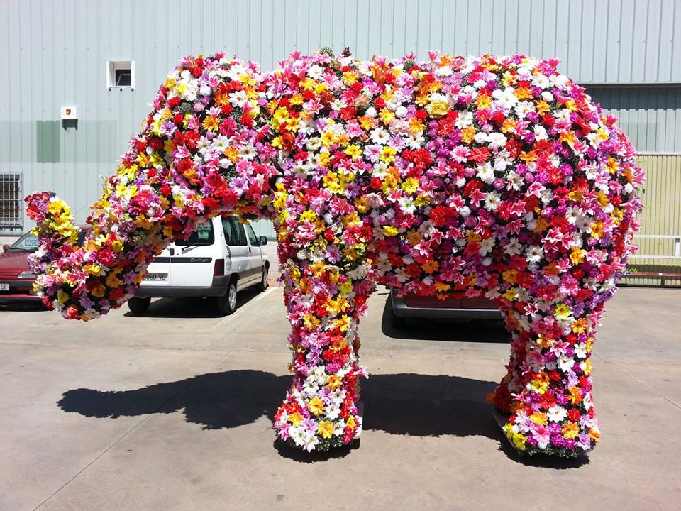 430144_10200618775964344_344164145_n