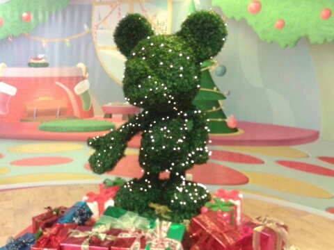 IMG-20131212-WA0000_resized